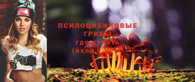 MEGA вход  Нюрба  Галлюциногенные грибы MAGIC MUSHROOMS 